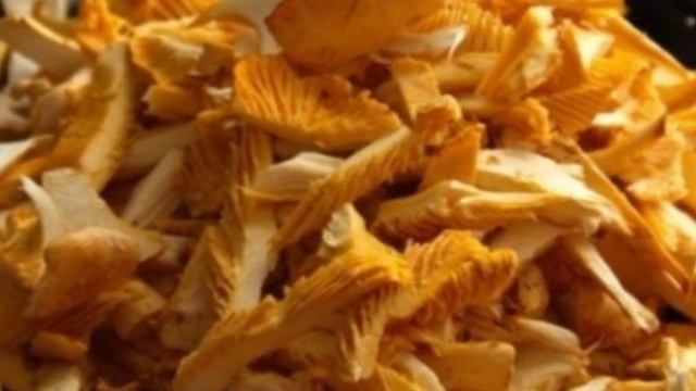 Готовим дома