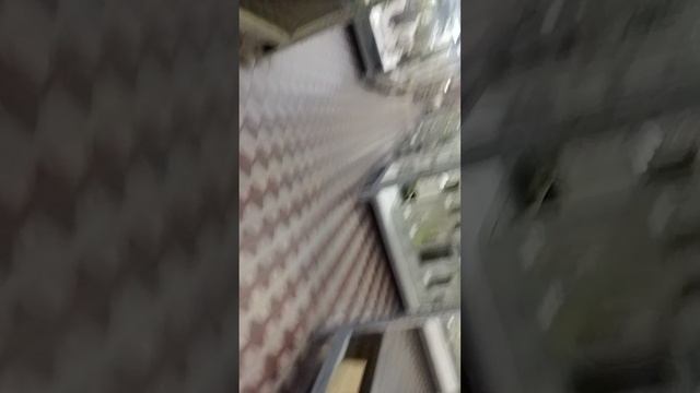 зоологический музей 1 часть смотреть онлайн