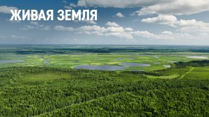 Живая земля