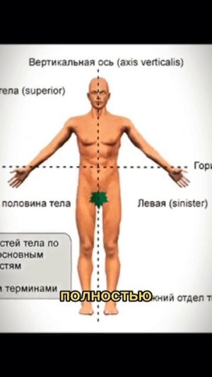 Надеюсь вы такого не увидите #факты #интересныефакты #медицина