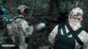 В Брянской области сотрудники ФСБ обезвредили группу украинских террористов