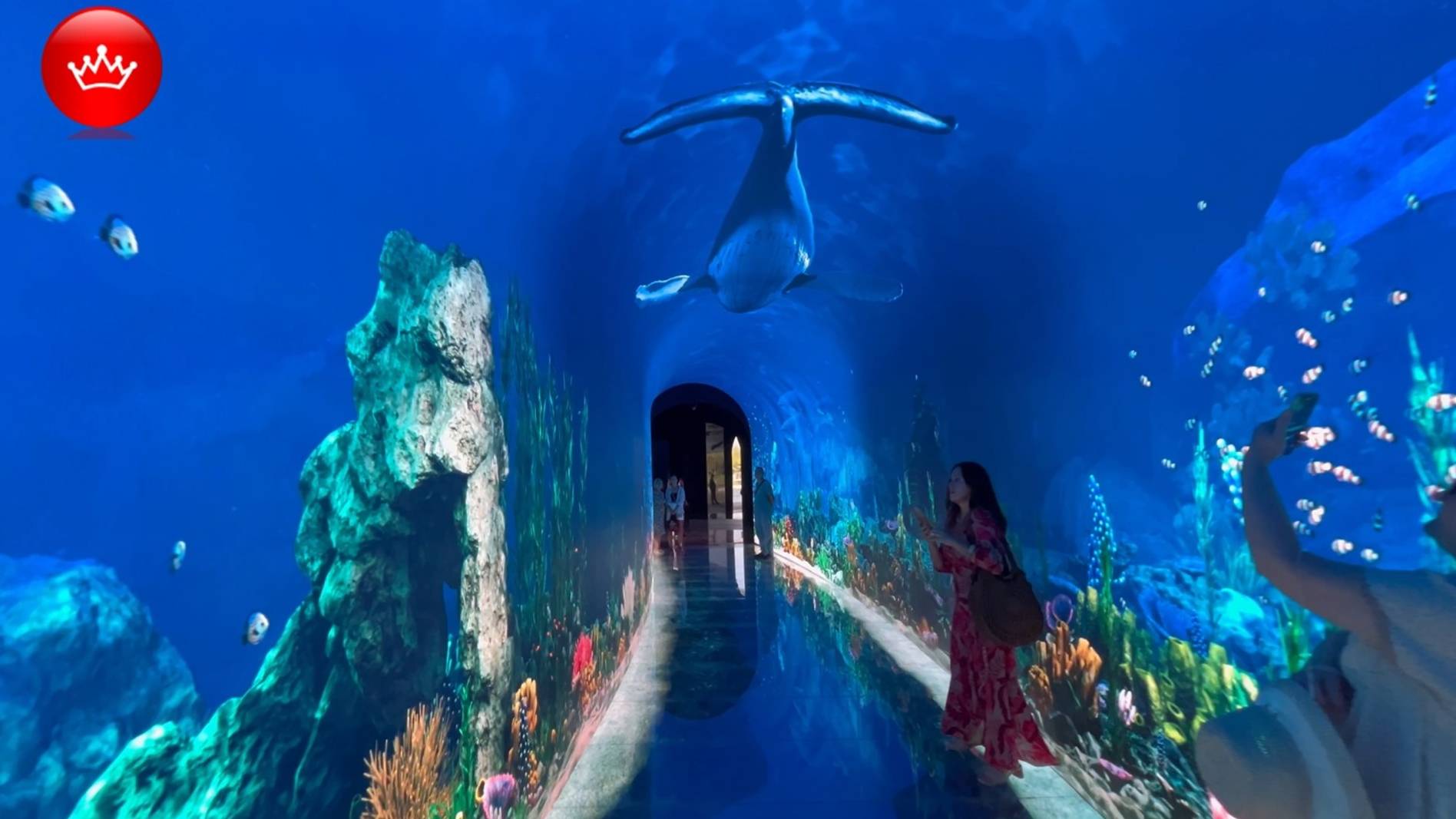 😀Парк Облаков Кроличья нора и эмоции детей. смотреть онлайн