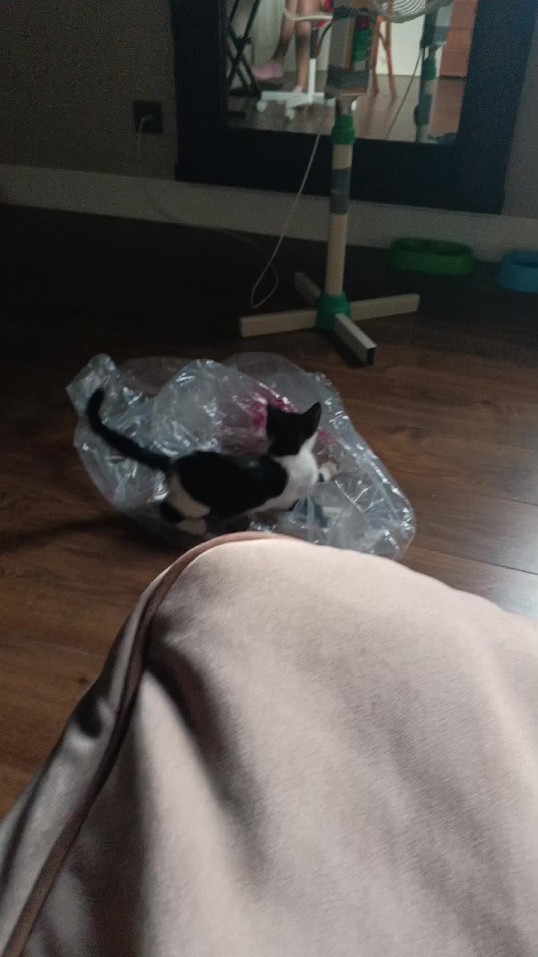 кшкааааа номер5