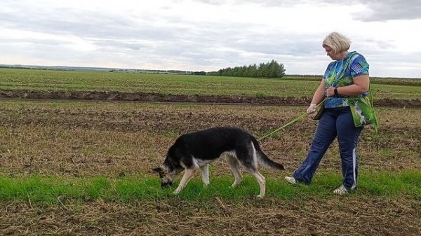 Фиелисс ХАРЬЯГА. след