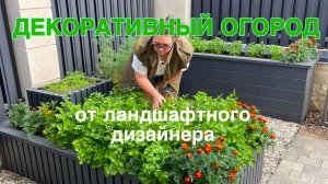 ДЕКОРАТИВНЫЙ ОГОРОД НА ЧАСТНОМ УЧАСТКЕ