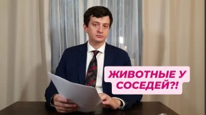 что делать, если у соседей лает собака