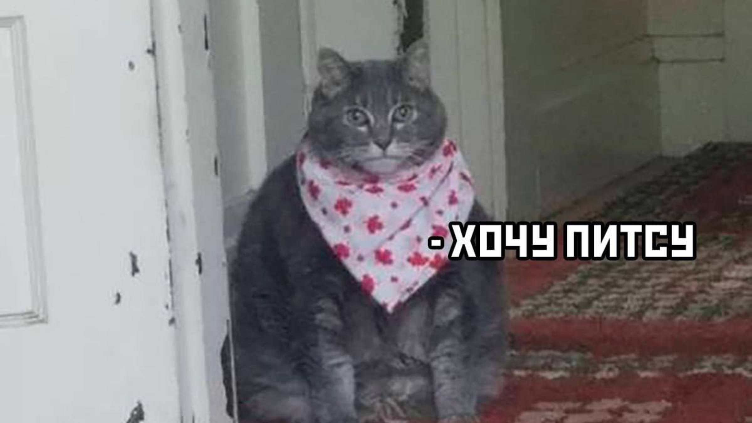 Обе Выживи в катастрофах но мы играем не на roblox а на яндекс.играх!!!!!! 🐱🐱🐱🐱🐱🐱🐱🐱🐱 смотреть онлайн