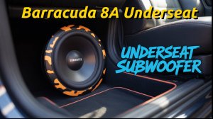 Удивит ли этот крошечный сабвуфер ваш авто?  Barracuda 8A Underseat