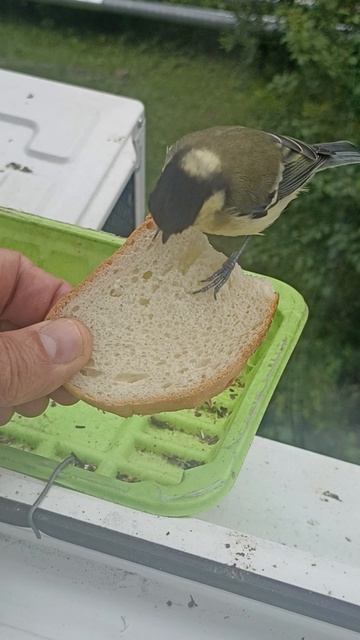 У-п-С !  Получилось !!!