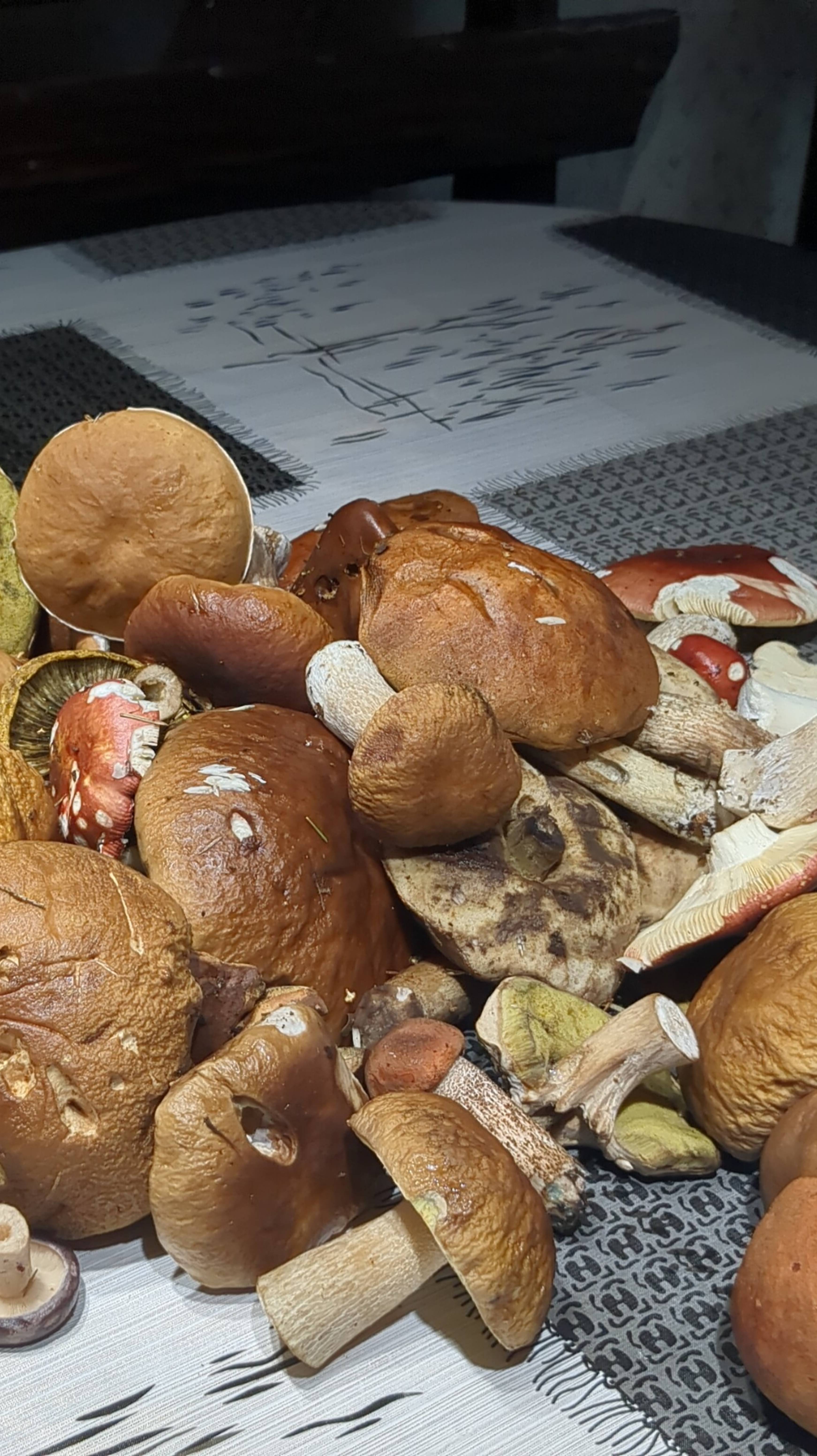 Тихая охота началась. Воробьи клюют сидераты. смотреть онлайн