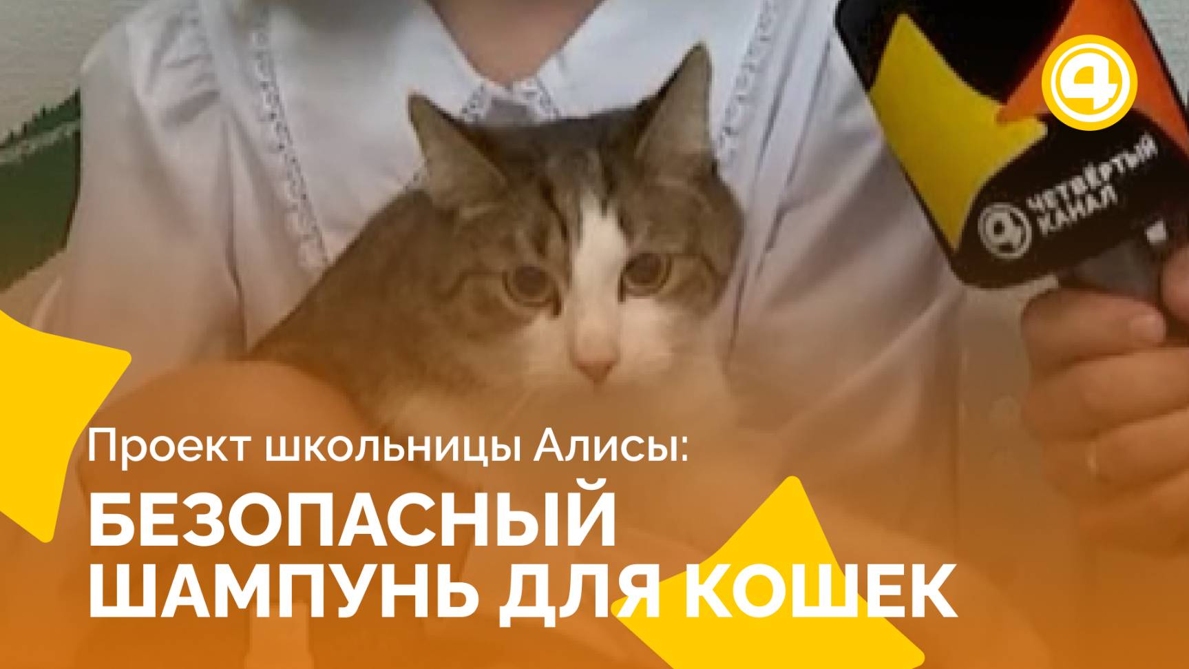 Первый шампунь для кошек, разработанный в студии вместе с детьми смотреть онлайн