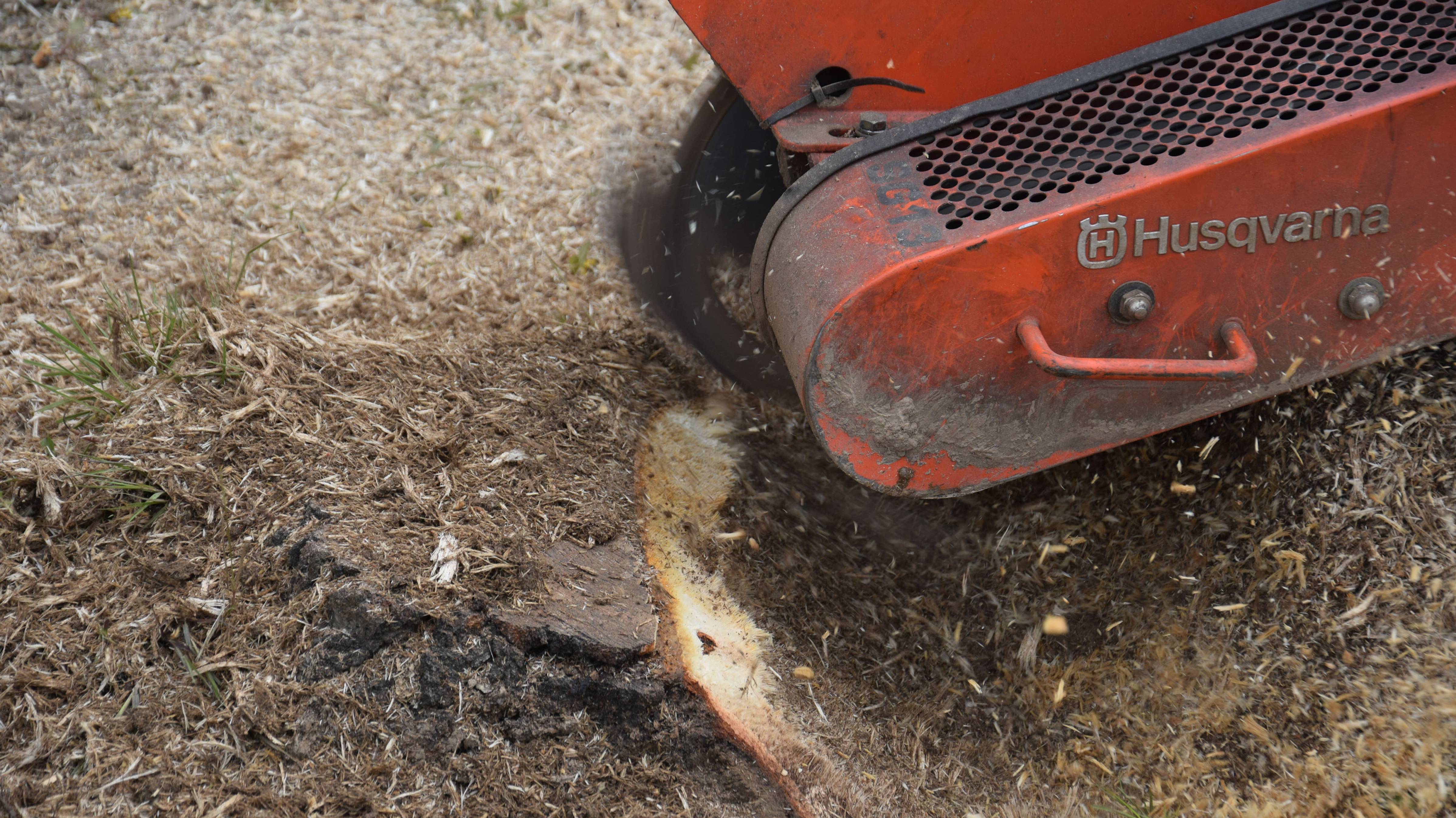 Удаление пней