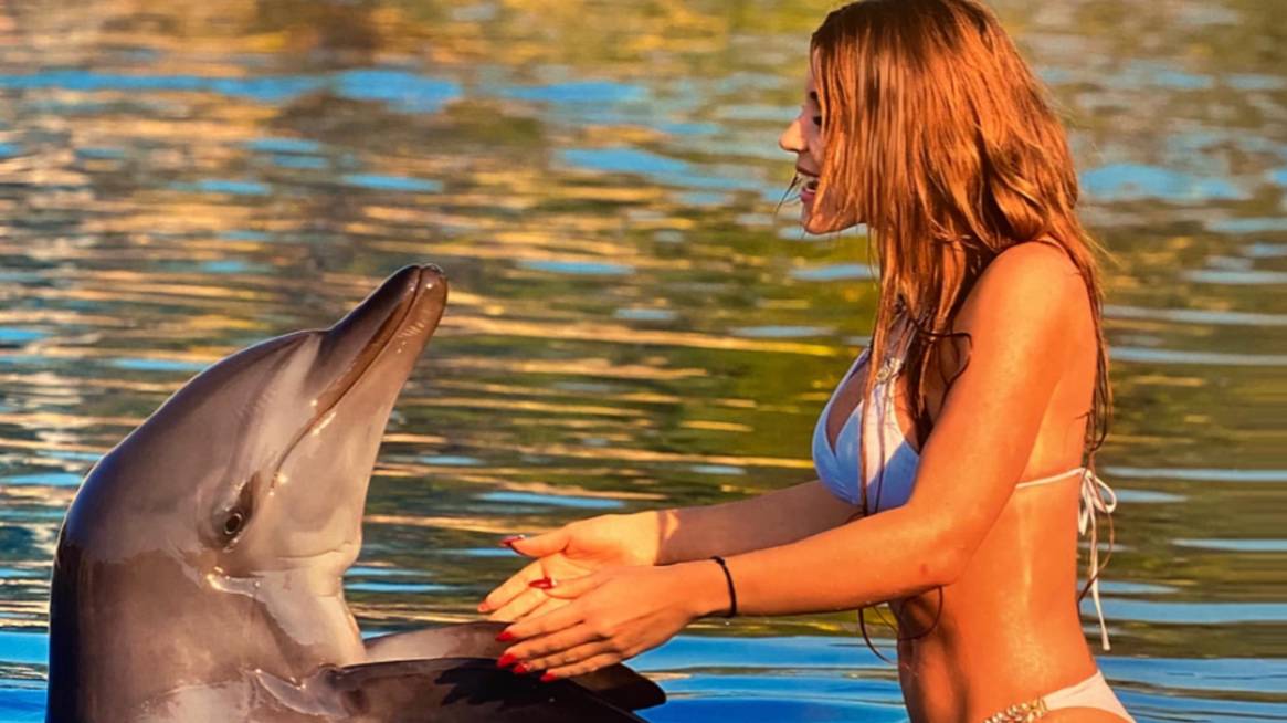 Manfred Mann's Earth Band ~ Singing The Dolphin Through