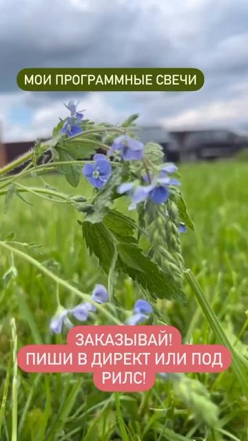 Индивидуальные программные свечи, сделанные под запрос клиента.