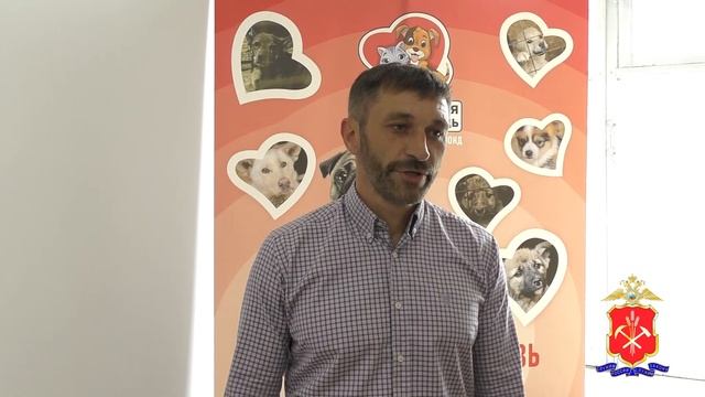 Полицейские посетили приют для животных смотреть онлайн