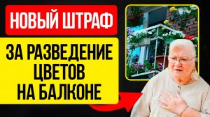 НОВЫЙ ШТРАФ ЗА ЦВЕТЫ НА БАЛКОНЕ