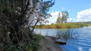 А Я ДО ТЕБЯ БУДТО ВОВСЕ И НЕ ЖИЛ!