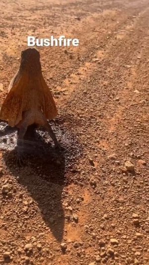 Сначала не понравилось... А потом как понравилось! #shorts