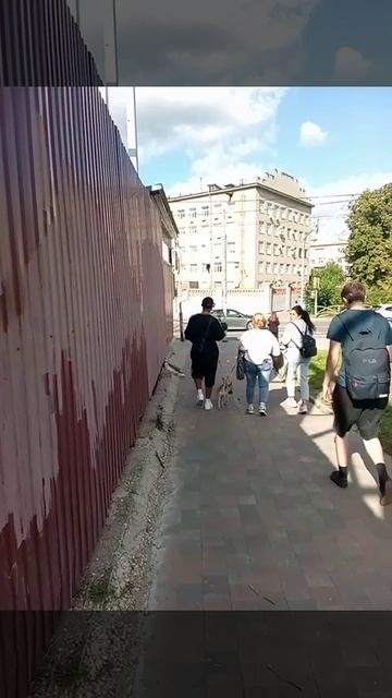 Эксклюзив на 203