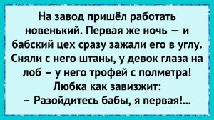 Как мужик на заводе баб с ума свёл! анекдоты!