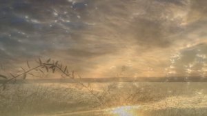 Эдгар Туниянц. Одинокая тишина.  Edgar Tuniyants. A lonely silence