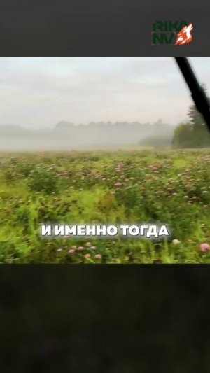 Лось-хозяин северных лесов #rikanv