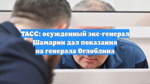 ТАСС: осужденный экс-генерал Шамарин дал показания на генерала Оглоблина