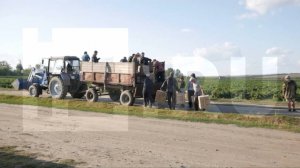 В Воронежской области обнаружили ферму с сотней рабов