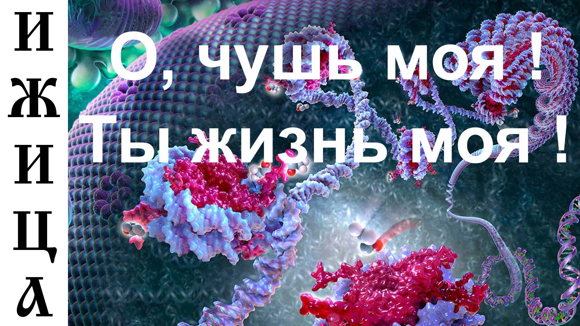 О, чушь моя ! Ты жизнь моя ! (Или: Отдупли́лись) смотреть онлайн