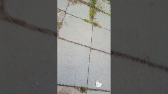 короче, показываем, что на улице.