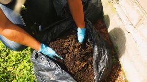 БОЛЬНУЮ БОТВУ, ОПАД И ДАЖЕ СОРНЯКИ С СЕМЕНАМИ МОЖНО КЛАСТЬ В КОМПОСТ, если знать этот важный нюанс