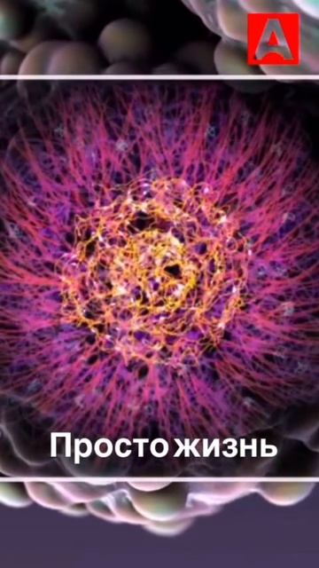 Просто о сложном