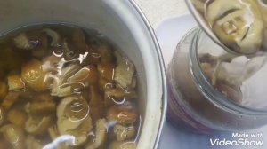 Как солить КУЛЬБИКИ ( КУБАРИ, КУБЫШКИ ). Самый простой быстрый вкусный способ