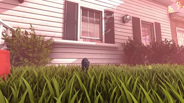 играю в котика часть 2