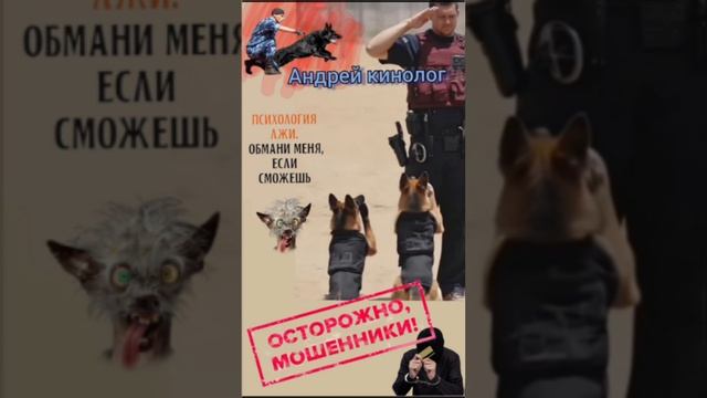 АДминиСрации, продлеватили и прочии 404 смотреть онлайн