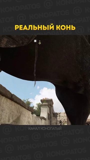 Реальный конь #мафия #конопатый