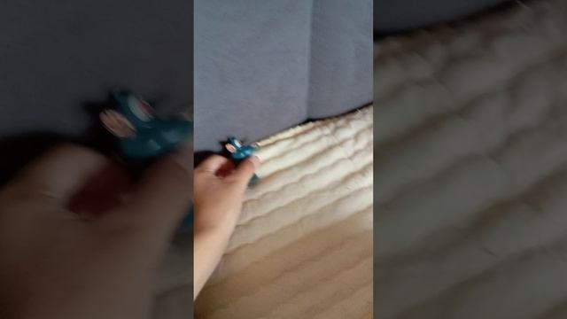 Буба в парке юрского периода провел 24 часа