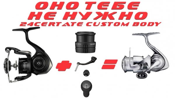 DAIWA 24 CERTATE CUSTOM BODY | ЧТО ВНУТРИ?