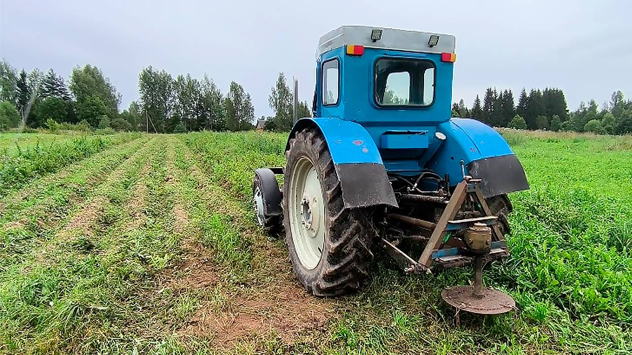 Трактор Т-40/ Покос Ботвы 2025