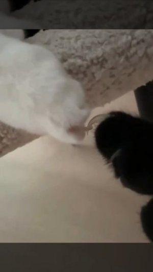 И больше не дерись