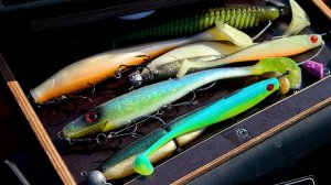 УСТАЛ ПОДСЕКАТЬ ЭТИХ ЩУК! МЕДВЕДЬ ПРОГНАЛ с БЕРЕГА / РЫБАЛКА НА СПИННИНГ