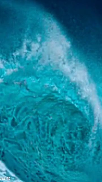 Океан. смотреть онлайн