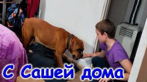 Тишина в доме. Убираемся с Сашей. Болтаем. Готовлю ужин. (08.25г.) Семья Бровченко.