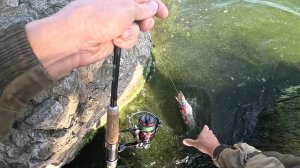 Как Работает Снасть ХАПУГА. Ловим на Спининг и ХАПУГУ