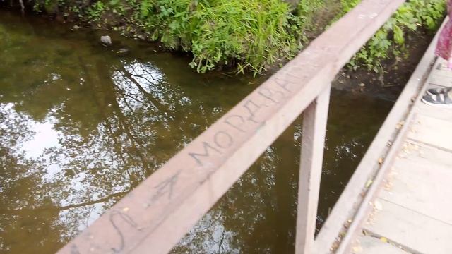 Спокойная красивая речка в Измайловском парке. Очень интересный видос про лесную прогулку.
