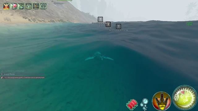 Snipe Hisly Haha - Trim 1