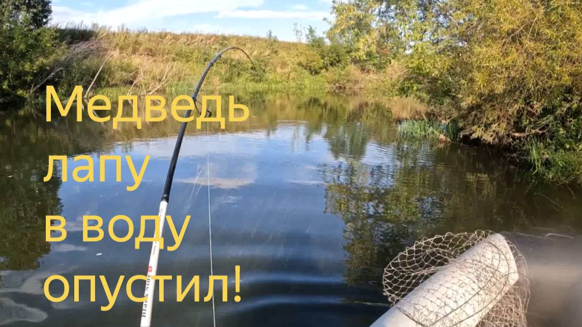 Рыбалка на спиннинг, когда щука понюхала медвежью лапу.