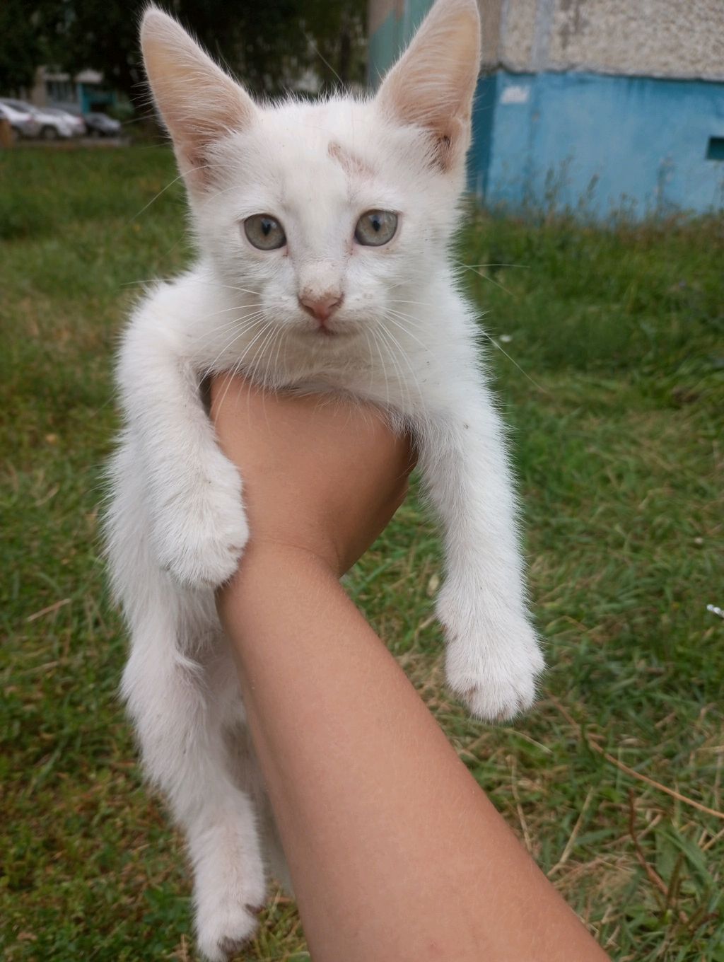 дд смотреть онлайн