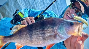 ТОЛСТЫЕ ОКУНИ рядом с домом! НАШЛИ СЕКРЕТНУЮ рыбную точку...