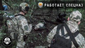 СРОЧНО! Украинская ДРГ Уничтожена в Брянске. Спецназ ФСБ и  Росгвардии задержал Диверсантов ССО ГУР